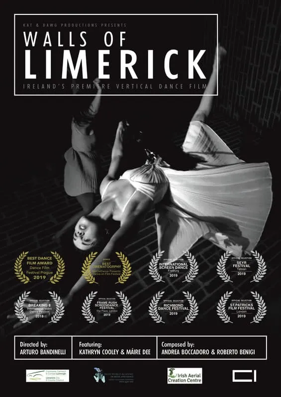 Walls of Limerick