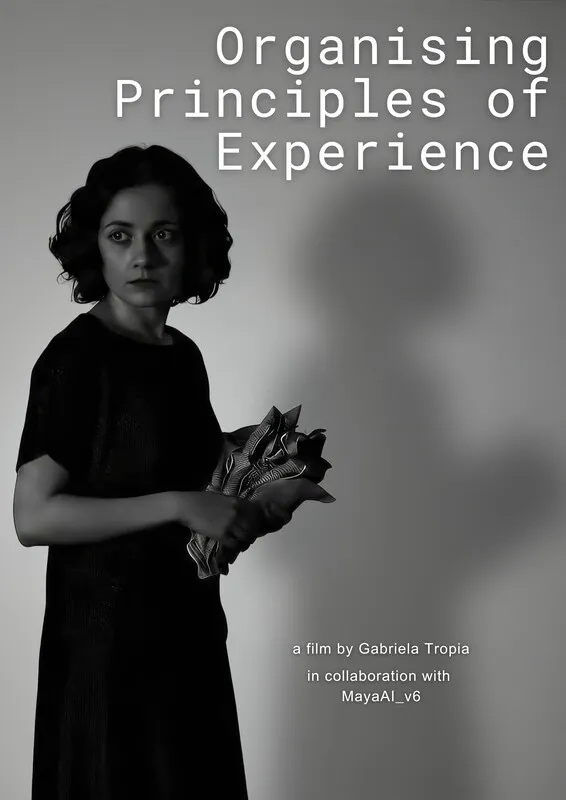 Organising Principles of Experience
